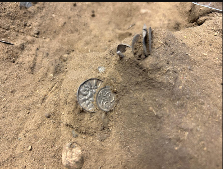 Detectorist discovers Viking silver coins and jewellery from the 10th century